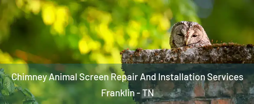  Chimney Animal Screen Repair And Installation Services Franklin - TN