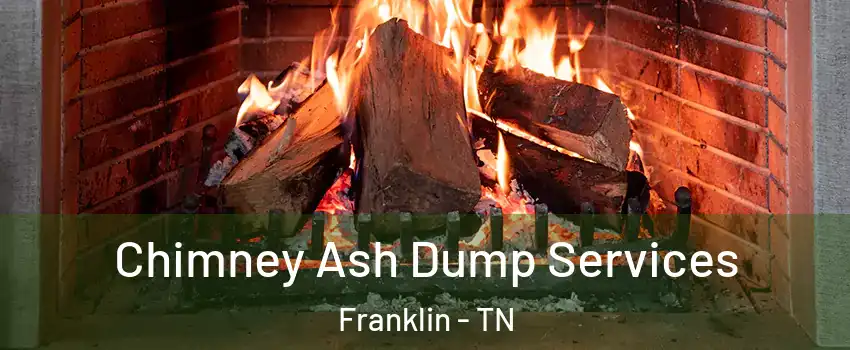  Chimney Ash Dump Services Franklin - TN