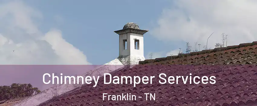  Chimney Damper Services Franklin - TN