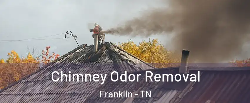  Chimney Odor Removal Franklin - TN