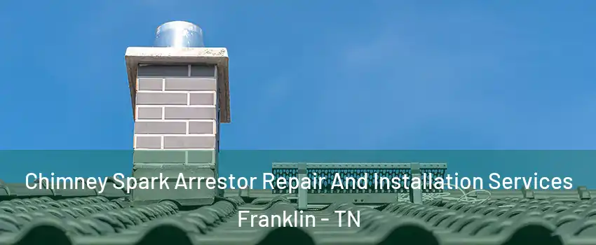  Chimney Spark Arrestor Repair And Installation Services Franklin - TN