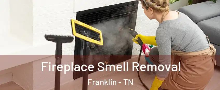  Fireplace Smell Removal Franklin - TN
