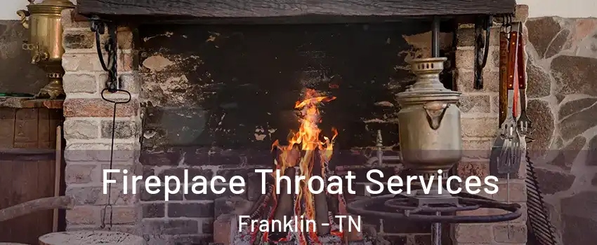  Fireplace Throat Services Franklin - TN