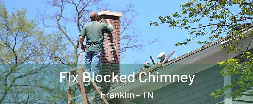  Fix Blocked Chimney Franklin - TN