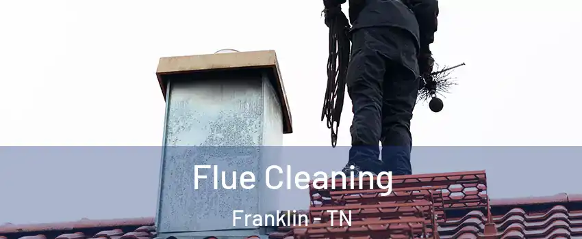  Flue Cleaning Franklin - TN