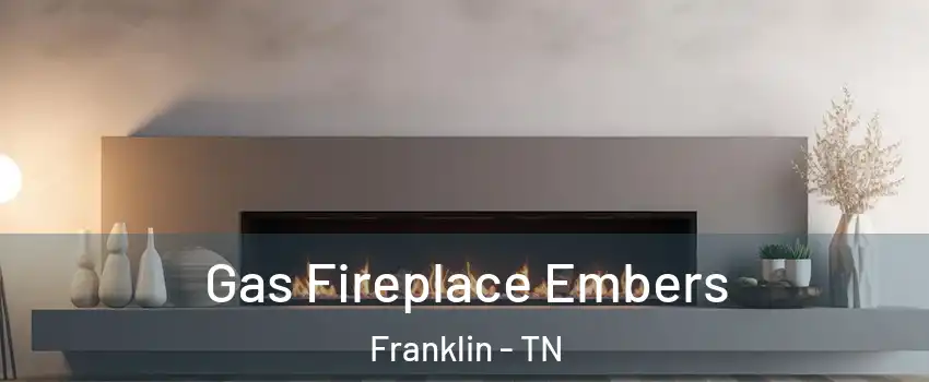  Gas Fireplace Embers Franklin - TN