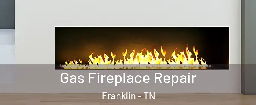  Gas Fireplace Repair Franklin - TN