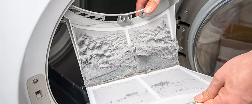 Best Dryer Lint Removal Company in Franklin, Tennessee