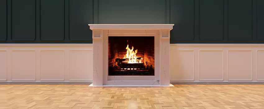 Napoleon Electric Fireplaces Inspection Service in Franklin, Tennessee