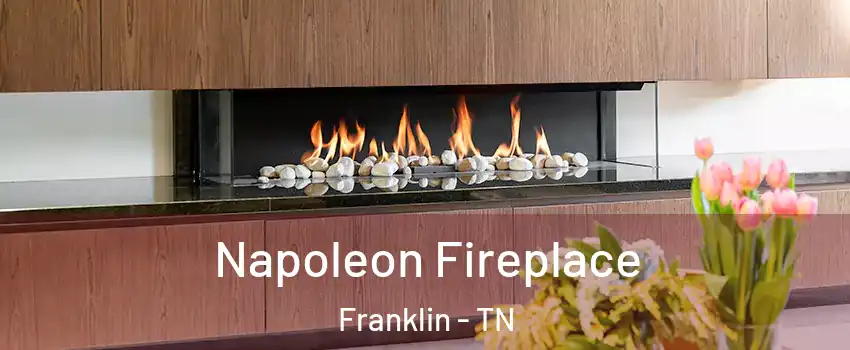  Napoleon Fireplace Franklin - TN